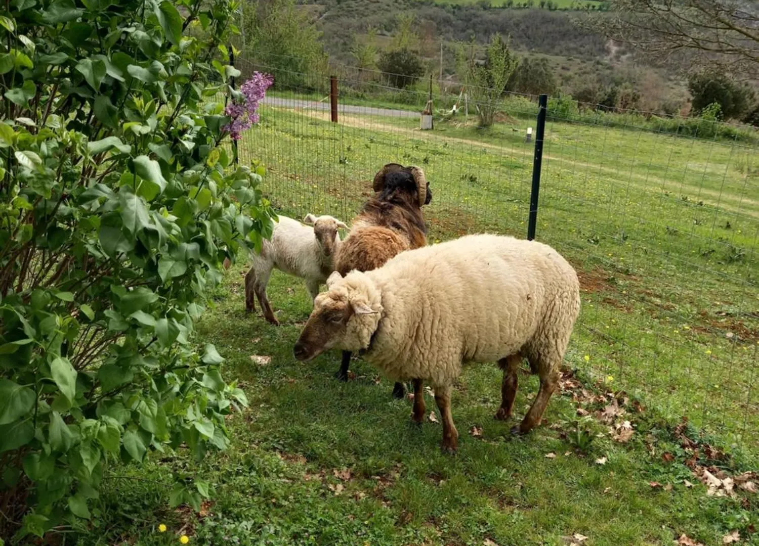 Gites Des Deux Vallees La Borieta Du Causse - Rocamadour 0*,  Frankrijk