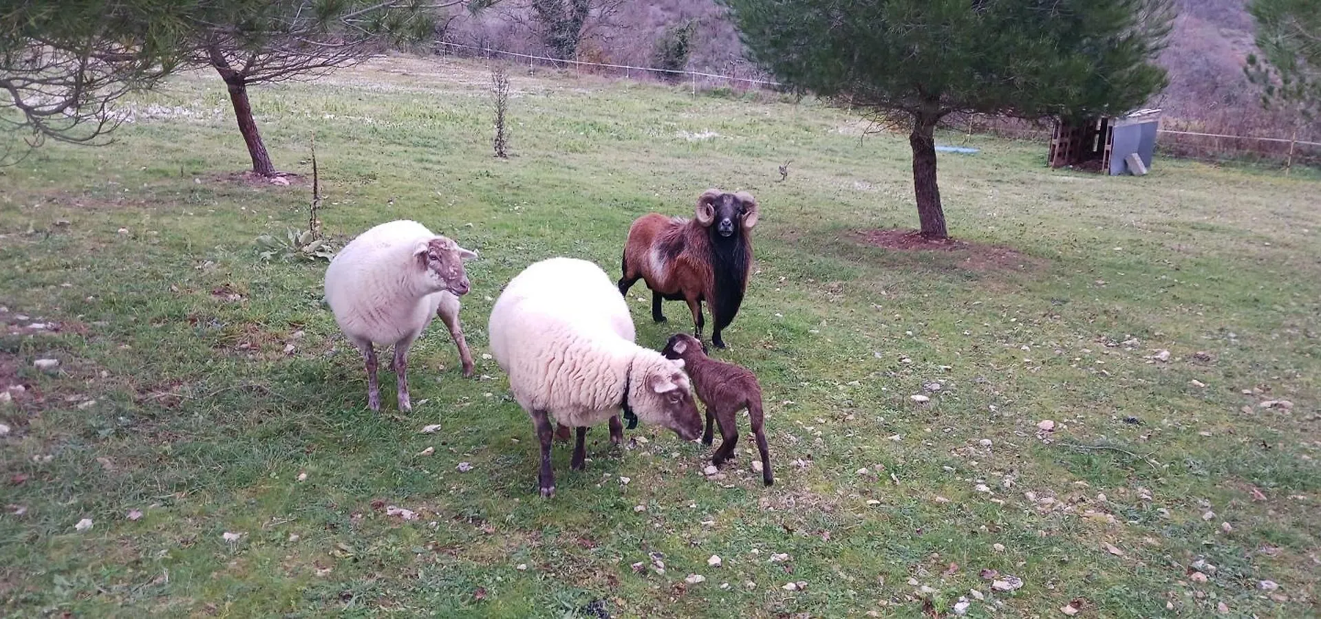 Gites Des Deux Vallees La Borieta Du Causse - Rocamadour 0*,  France