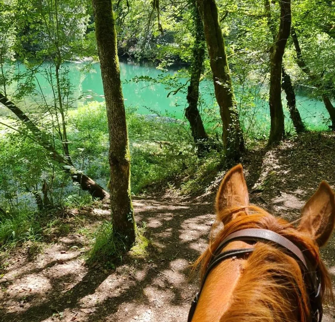 Gites Des Deux Vallees La Borieta Du Causse - Rocamadour